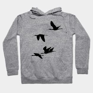 Silhouette of Glossy Ibises In Flight Hoodie